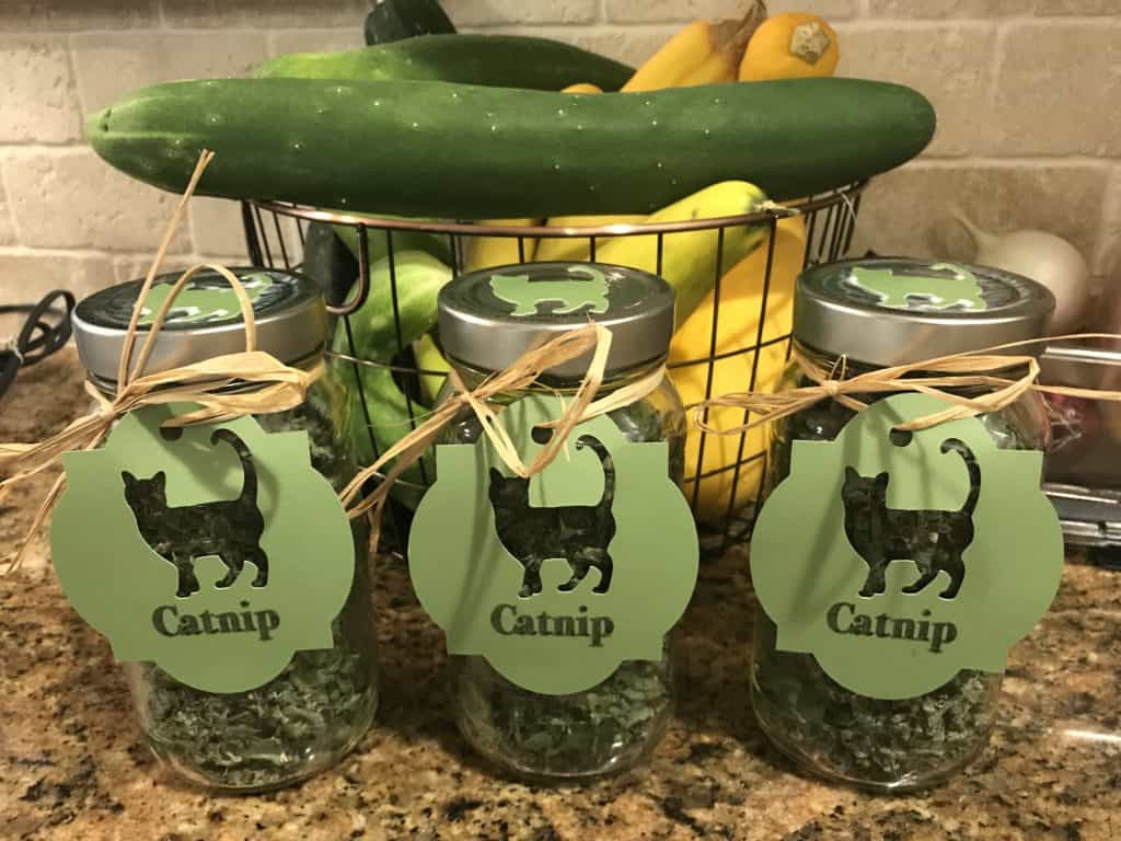 homemade catnip in jars
