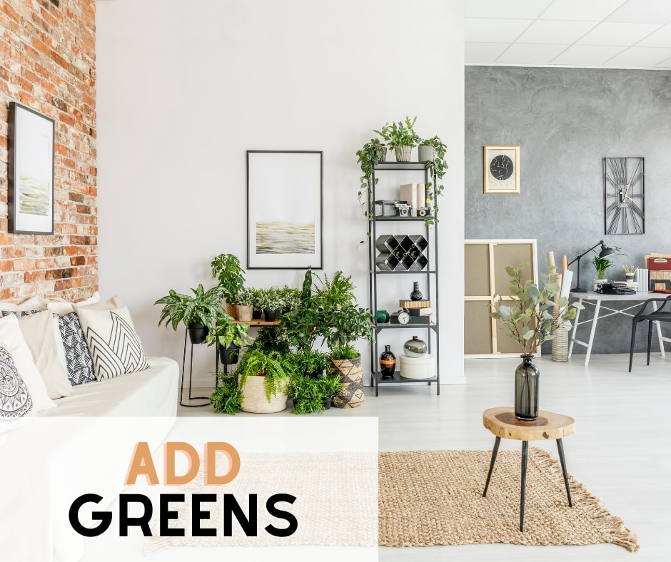 Interior design mistakes - add greens to your decorating