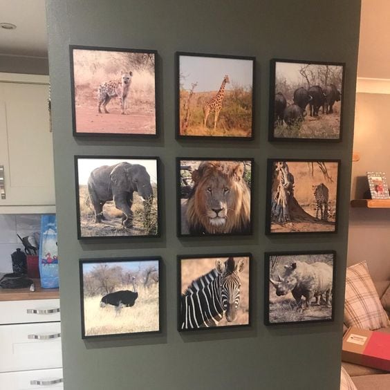 wall gallery of wild animals