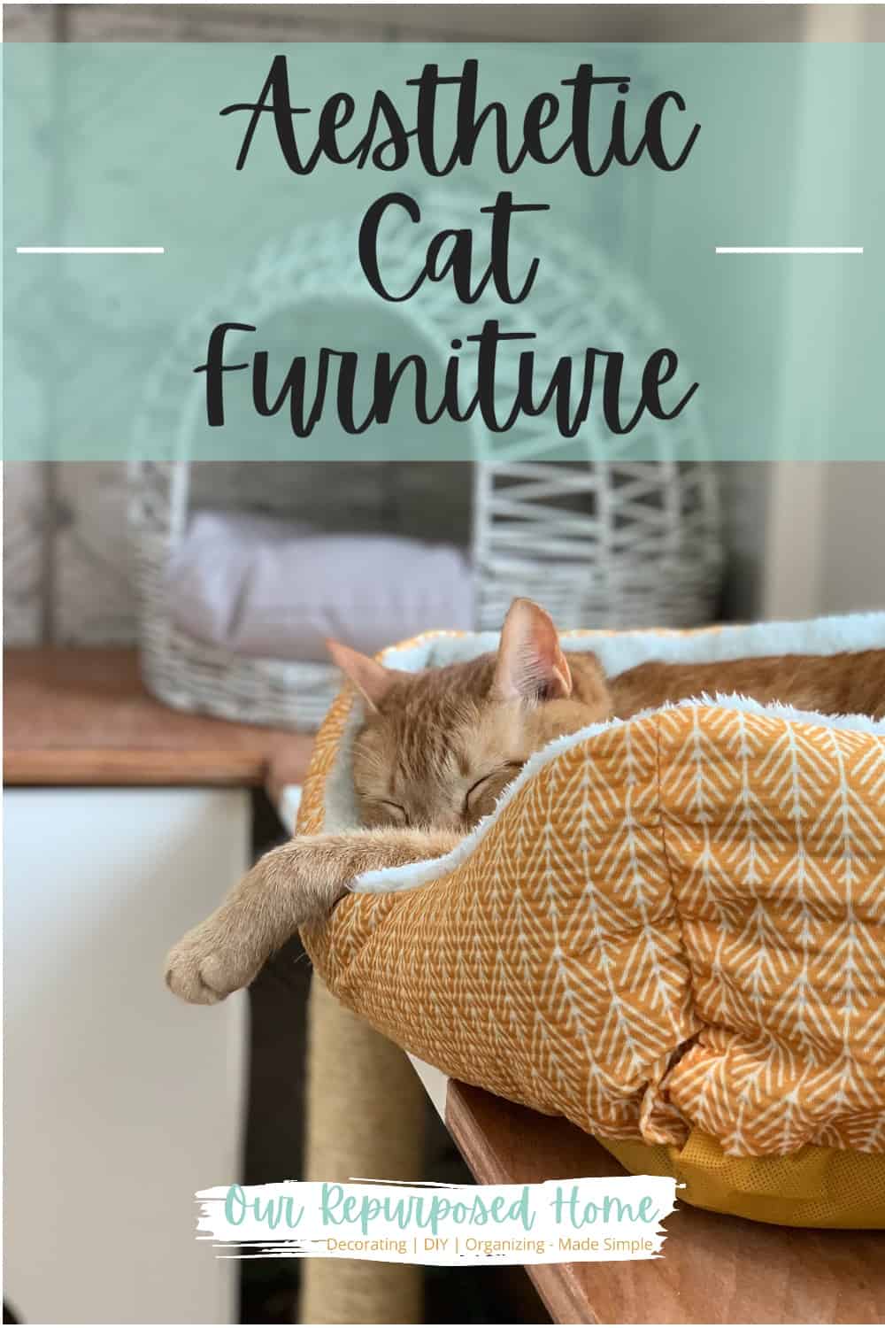 Aesthetic cat furniture pin with kitten in a pet bed