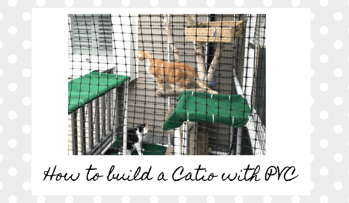 How to build a Catio with PVC pipes