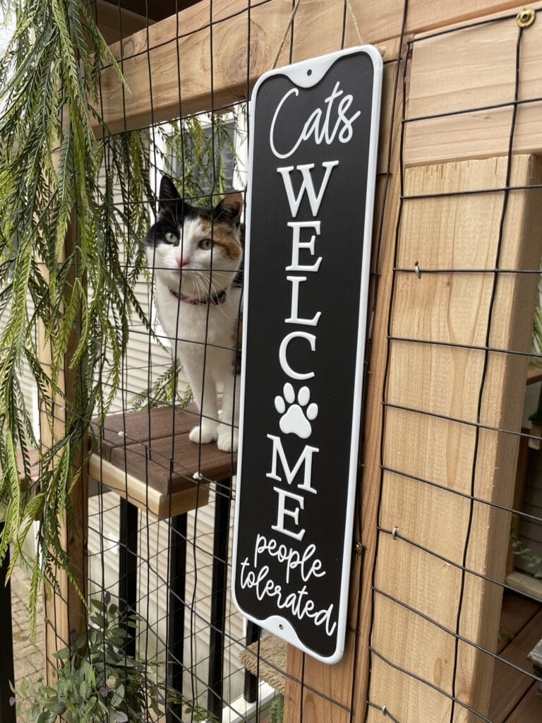 Cat in catio with a welcome sign
