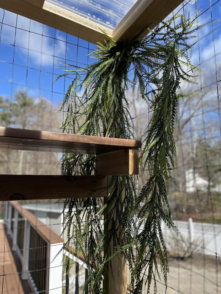 corner of a catio with shelf and plant