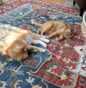 colorful rug with cats