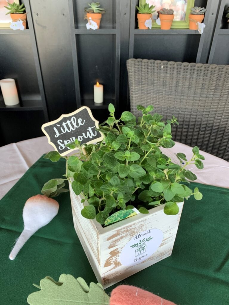 Plant stakes in a wooden box for a garden themed baby shower for centerpieces.  