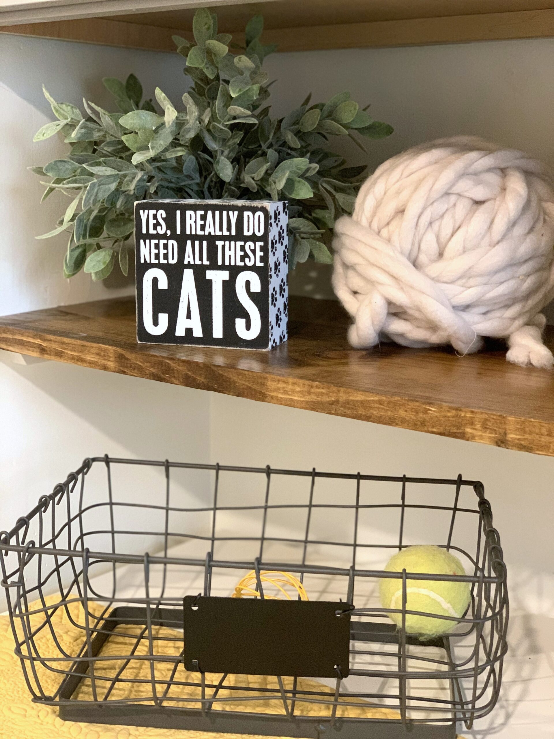 Cat room ideas accessories
