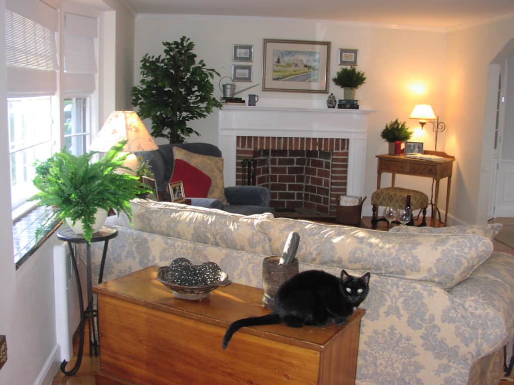 living room after redesign