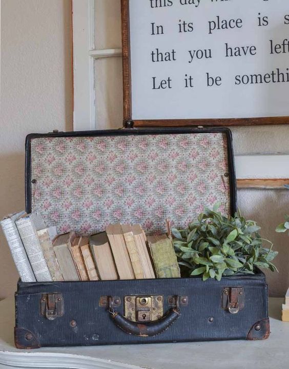 suitcase with books and plant