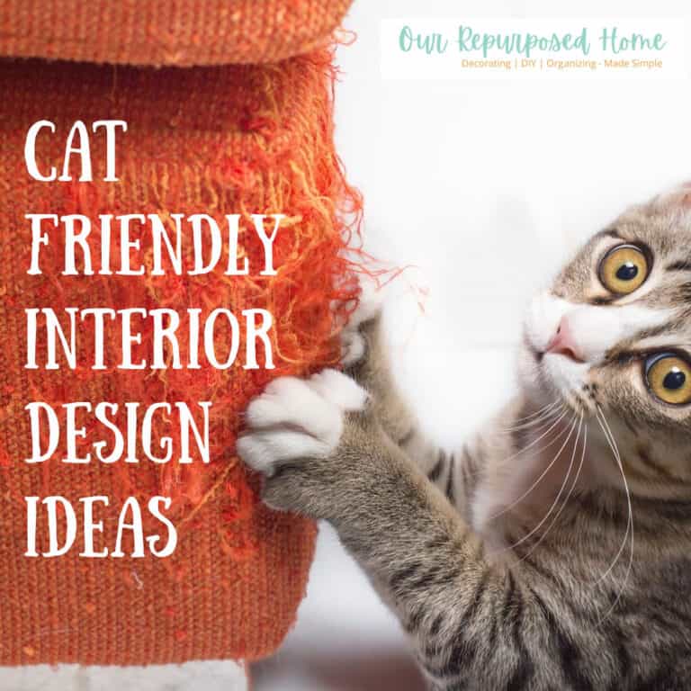 cat friendly interior design ideas
