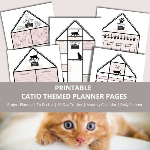 Kitten with printable catio themed planner pages