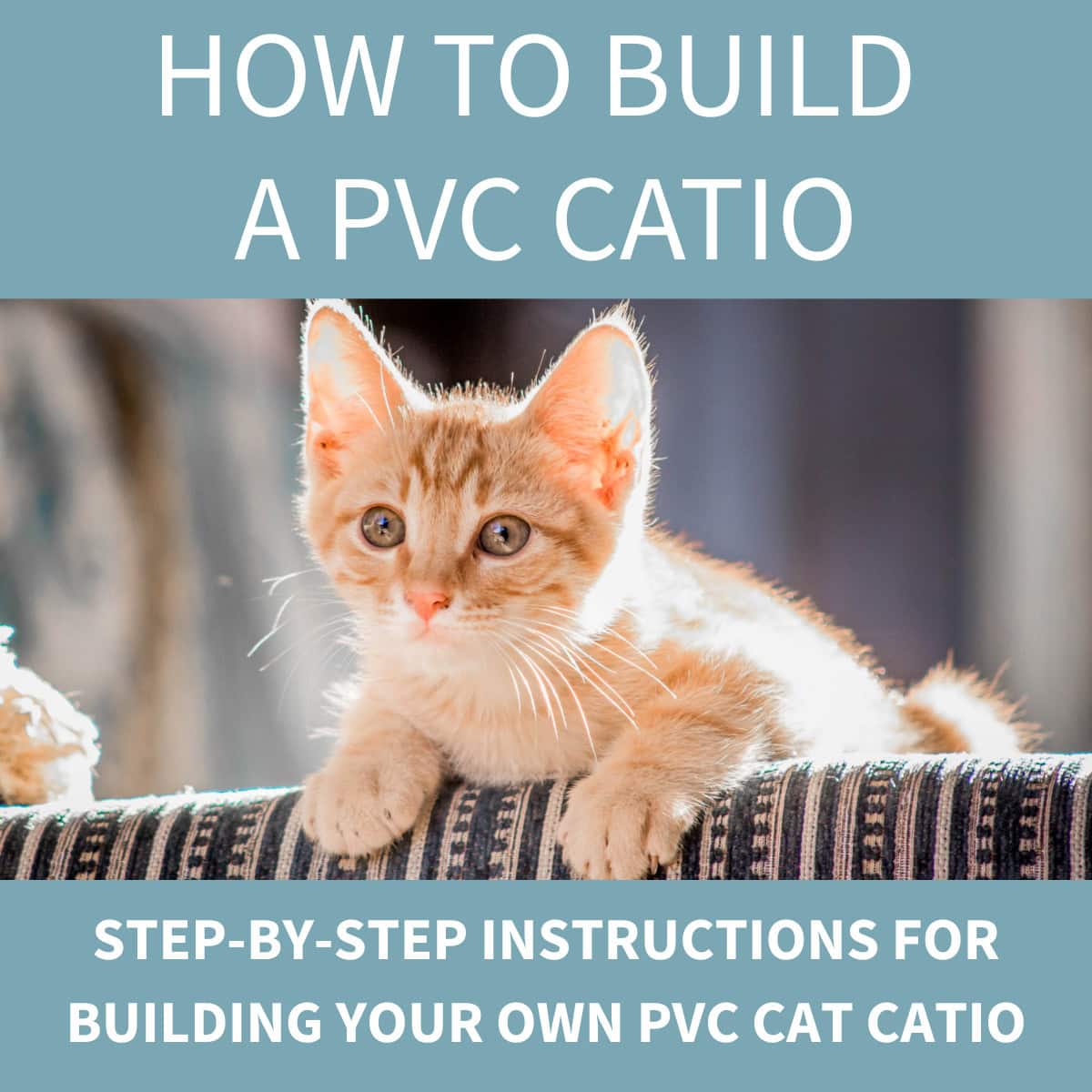Orange kitten resting on a chair with text reading “How to Build a PVC Catio” and “Step-by-step instructions for building your own PVC cat catio.”