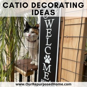 welcome sign with cat in a catio