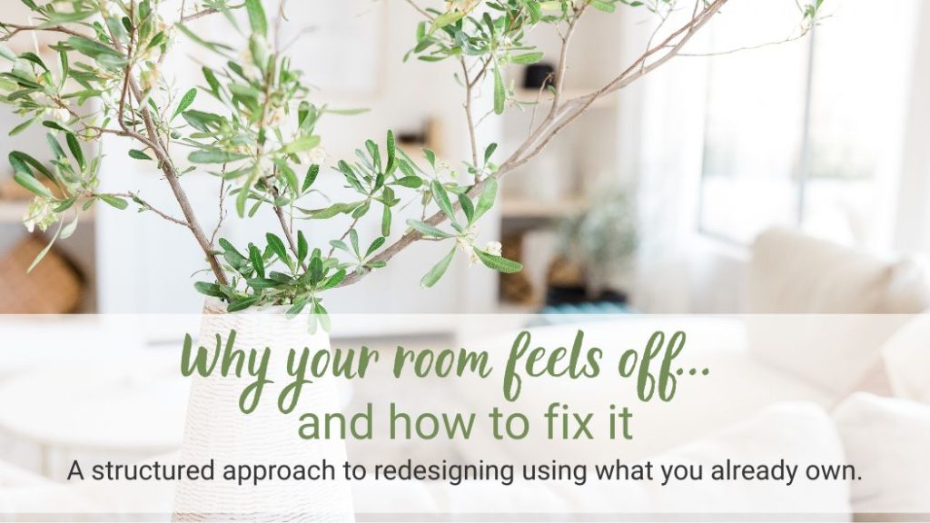 light room with airy plant